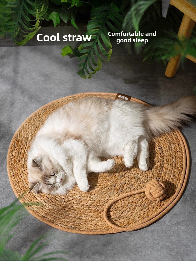 Woven Cushion Cat Claw Pad Self-Hi Ball Integrated Sleeping Pad Washable Grinding Artifact Cat Scratch Pad Spot