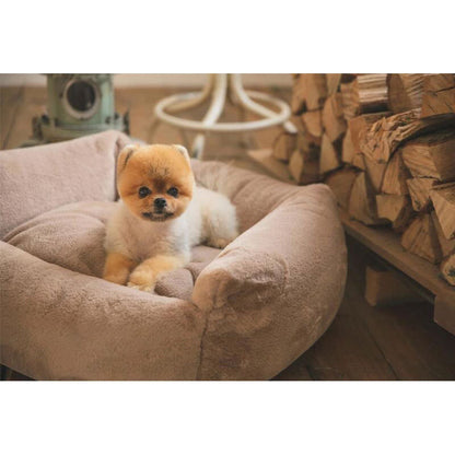 Wholesale autumn and winter new PV fleece U-shaped kennel cat litter cat pad dog pad pet pad soft warm pet supplies