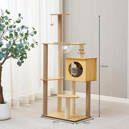 Cat climbing frame cat nest cat tree integrated household solid wood cat shelf space capsule cat nest cat observation platform cat jumping platform