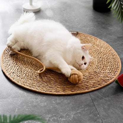 Woven Cushion Cat Claw Pad Self-Hi Ball Integrated Sleeping Pad Washable Grinding Artifact Cat Scratch Pad Spot