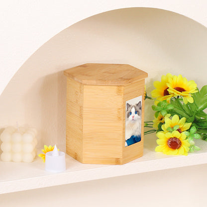 Pet Angel Urn Dog Cat Pet Memorial Cremation Kitten Puppy Cremation Funeral Box
