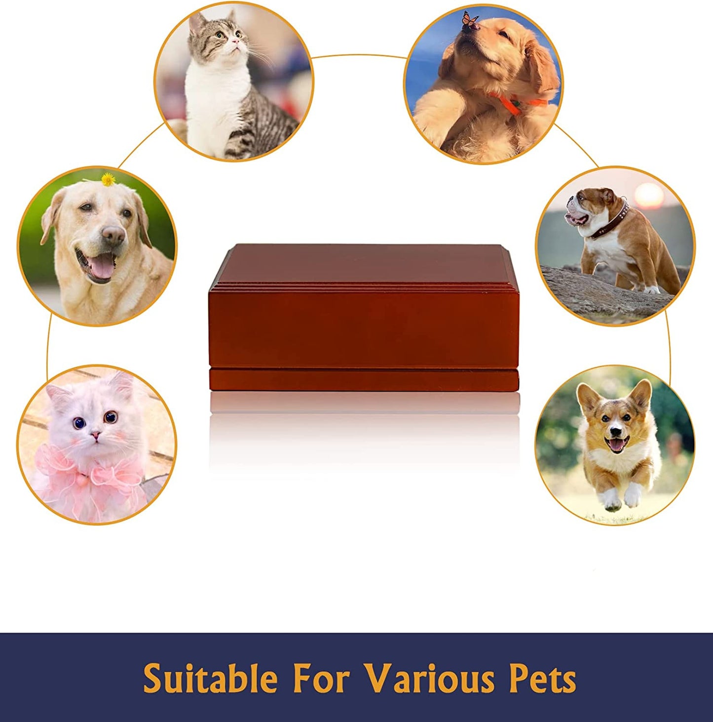 Wooden pet ashes box Funeral supplies Photo frame Commemorative box Dog coffin Solid wood urn