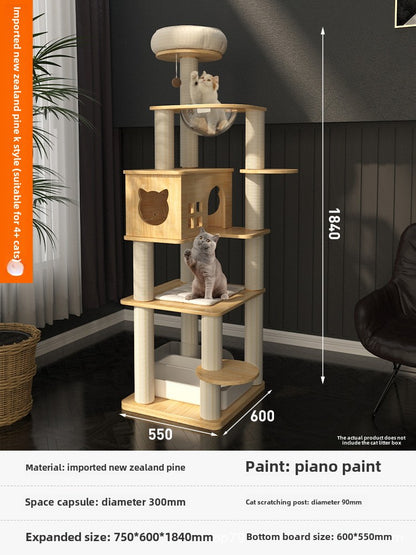 Large solid wood cat climbing frame cat nest simple and integrated four-season universal cat shelf cat jumping platform cat scratching board cat supplies