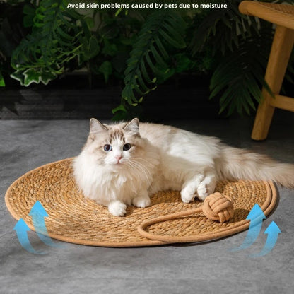 Woven Cushion Cat Claw Pad Self-Hi Ball Integrated Sleeping Pad Washable Grinding Artifact Cat Scratch Pad Spot