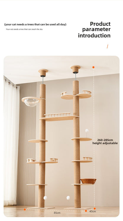 Tongtian pillar cat climbing frame cat nest cat tree integrated cat toy cat scratching board sisal large cat frame solid wood cat jumping platform