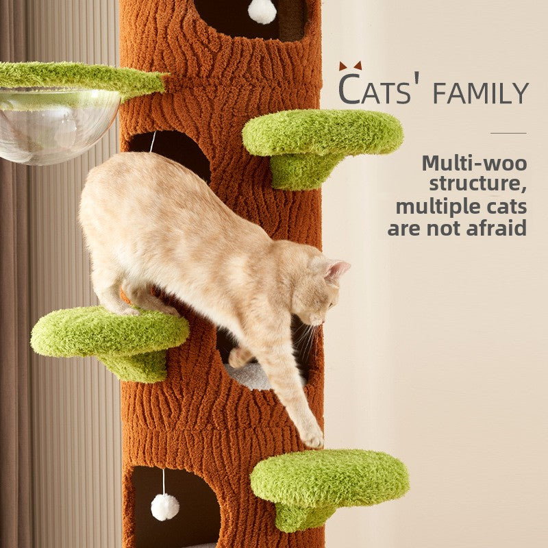 Cat climbing frame cat nest cat tree integrated space capsule non-solid wood Tongtian pillar cat frame sisal toy cat products Daquan